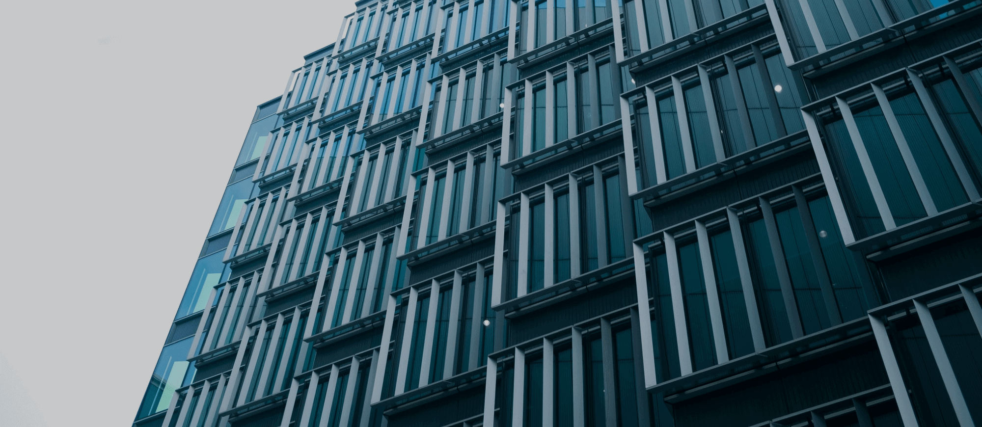 windows of a building