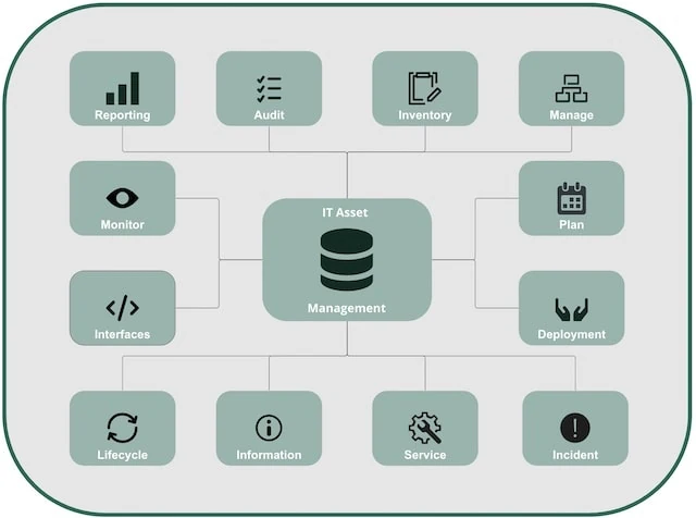 The various IT asset management areas